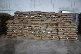 Seed Production Program