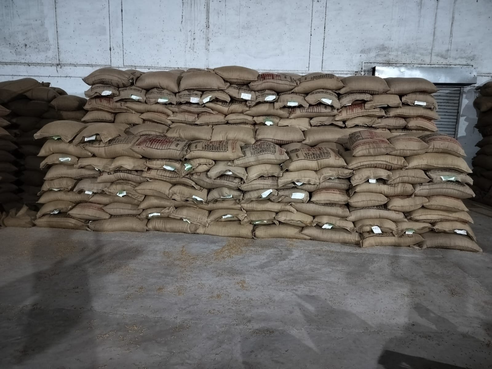 Seed Production