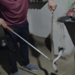 Snake Rescue Korba