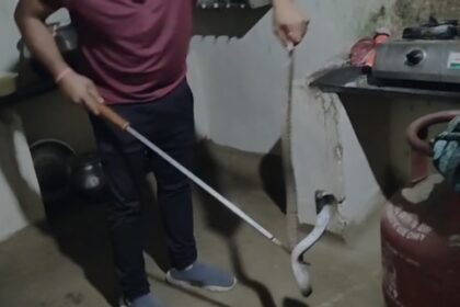 Snake Rescue Korba