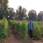 Success Story