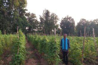 Success Story