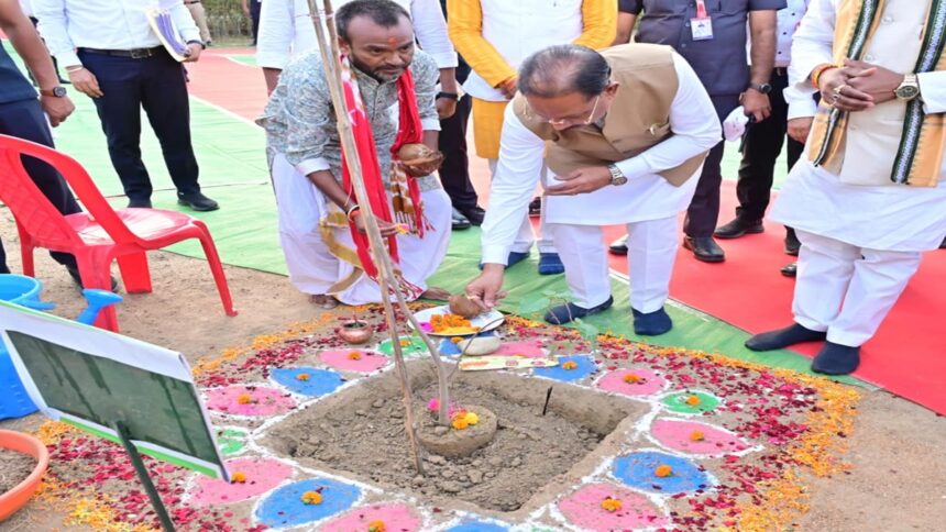 Tree Plantation