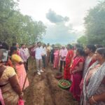 Turmeric Farming