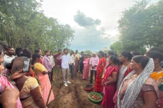 Turmeric Farming