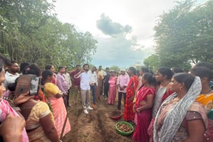 Turmeric Farming