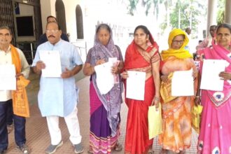 Widow Pension