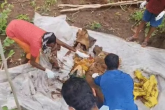 Double Murder Case