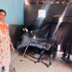 bihan-yojana-success-story