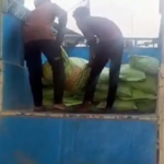DAP Fertilizer Seizure