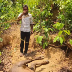 Korba Wildlife Terror