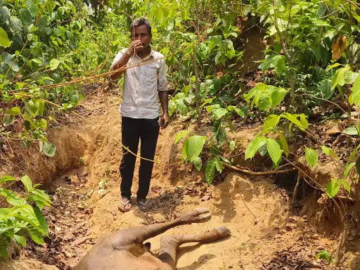 Korba Wildlife Terror