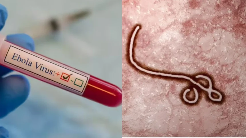 Ebola Virus Alert in Chhattisgarh