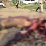 Durg Murder Case