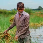 Crop Protection Management