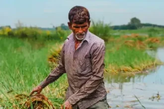 Crop Protection Management