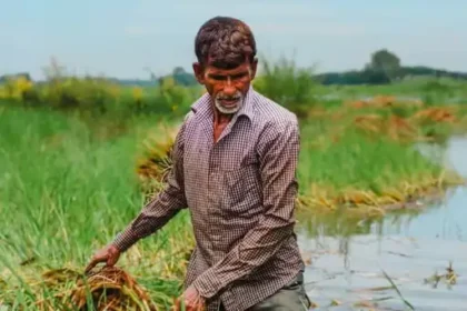 Crop Protection Management