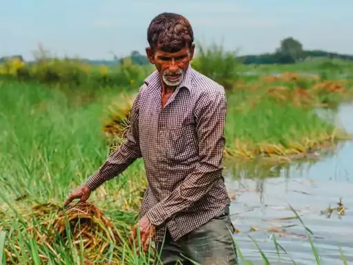 Crop Protection Management