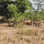 Narayanpur Conversion Dispute