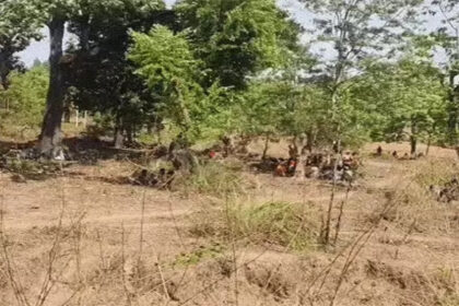 Narayanpur Conversion Dispute