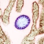 Kerala Nipah Virus