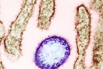 Kerala Nipah Virus