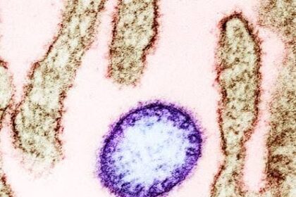 Kerala Nipah Virus
