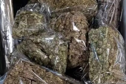 Ganja Smuggling Case