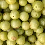 Amla Benefits