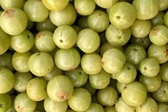 Amla Benefits