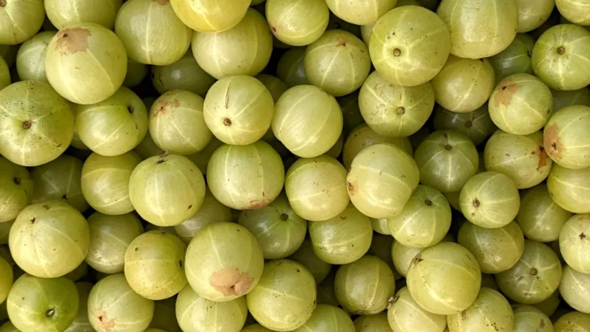 Amla Benefits