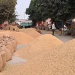 Paddy Procurement Scam Kabirdham