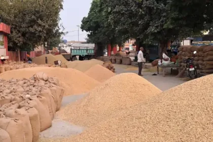 Paddy Procurement Scam Kabirdham