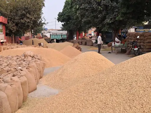 Paddy Procurement Scam Kabirdham