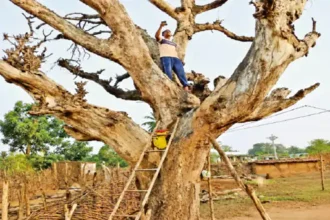 Mobile Network Crisis