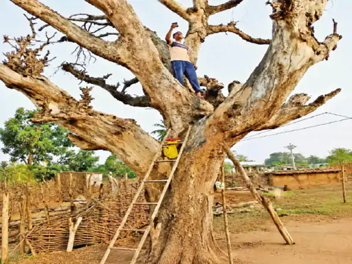 Mobile Network Crisis