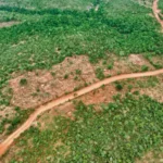 Abujhmad Land Encroachment