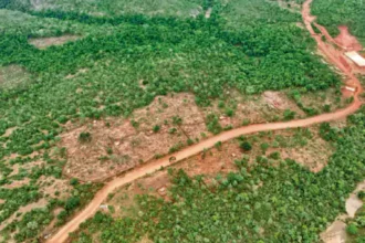 Abujhmad Land Encroachment