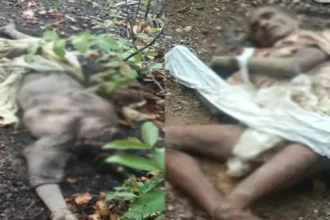 Balrampur Elephant Attack