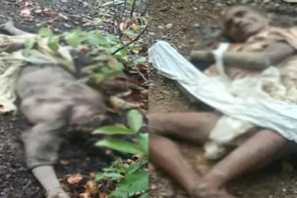 Balrampur Elephant Attack