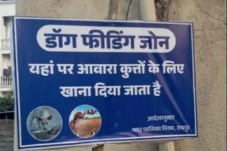 Raipur Dog Feeding Zone