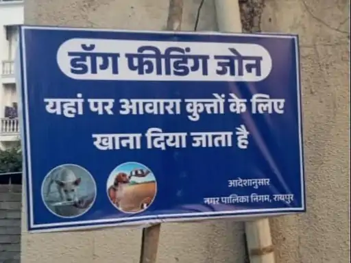 Raipur Dog Feeding Zone