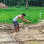 Traditional Paddy Conservation