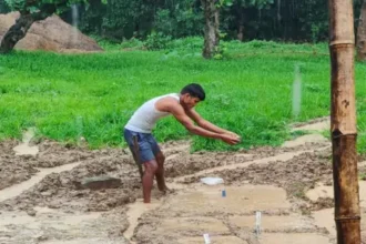 Traditional Paddy Conservation