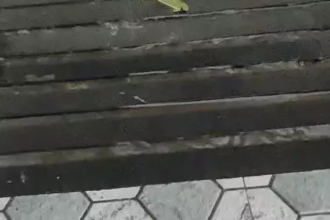 Chhattisgarh Monsoon Alert