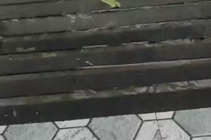 Chhattisgarh Monsoon Alert