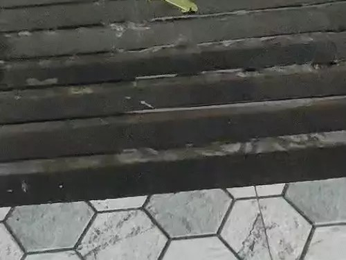 Chhattisgarh Monsoon Alert