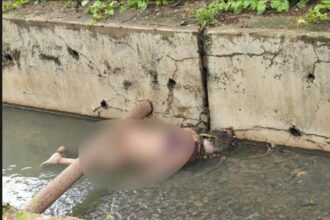 Woman Body Found