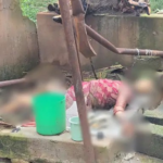 Dantewada Murder Case
