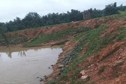 Korba Crocodile Rescue